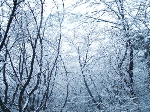 北陸地方は豪雪地帯