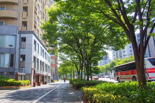 京都駅前の街並み