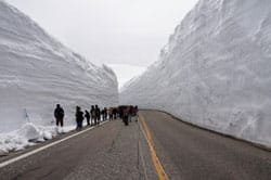 富山雪の大谷